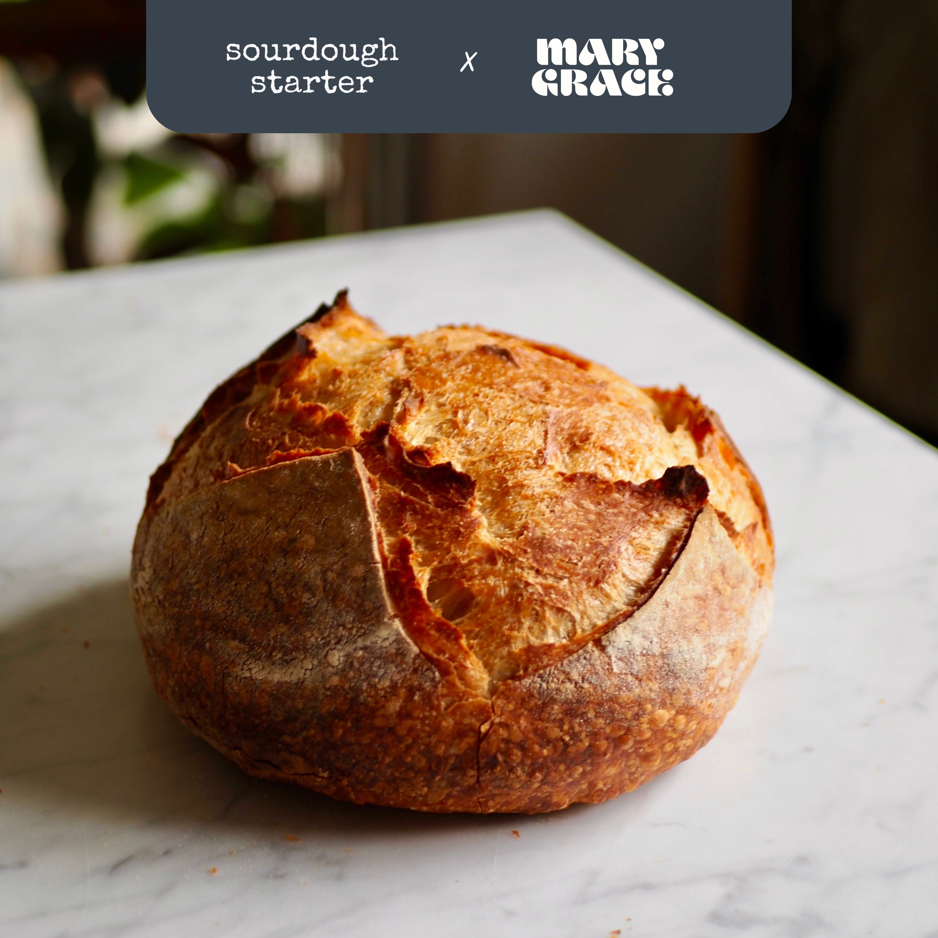 Classic Sourdough Bread