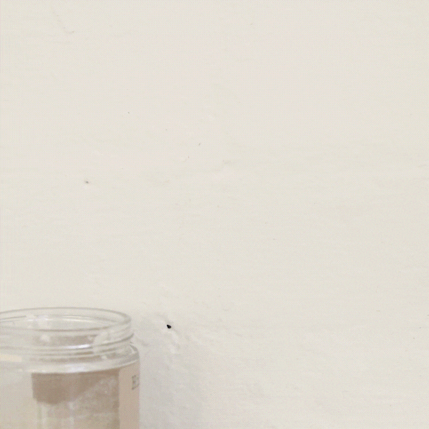 Complete Sourdough Kit