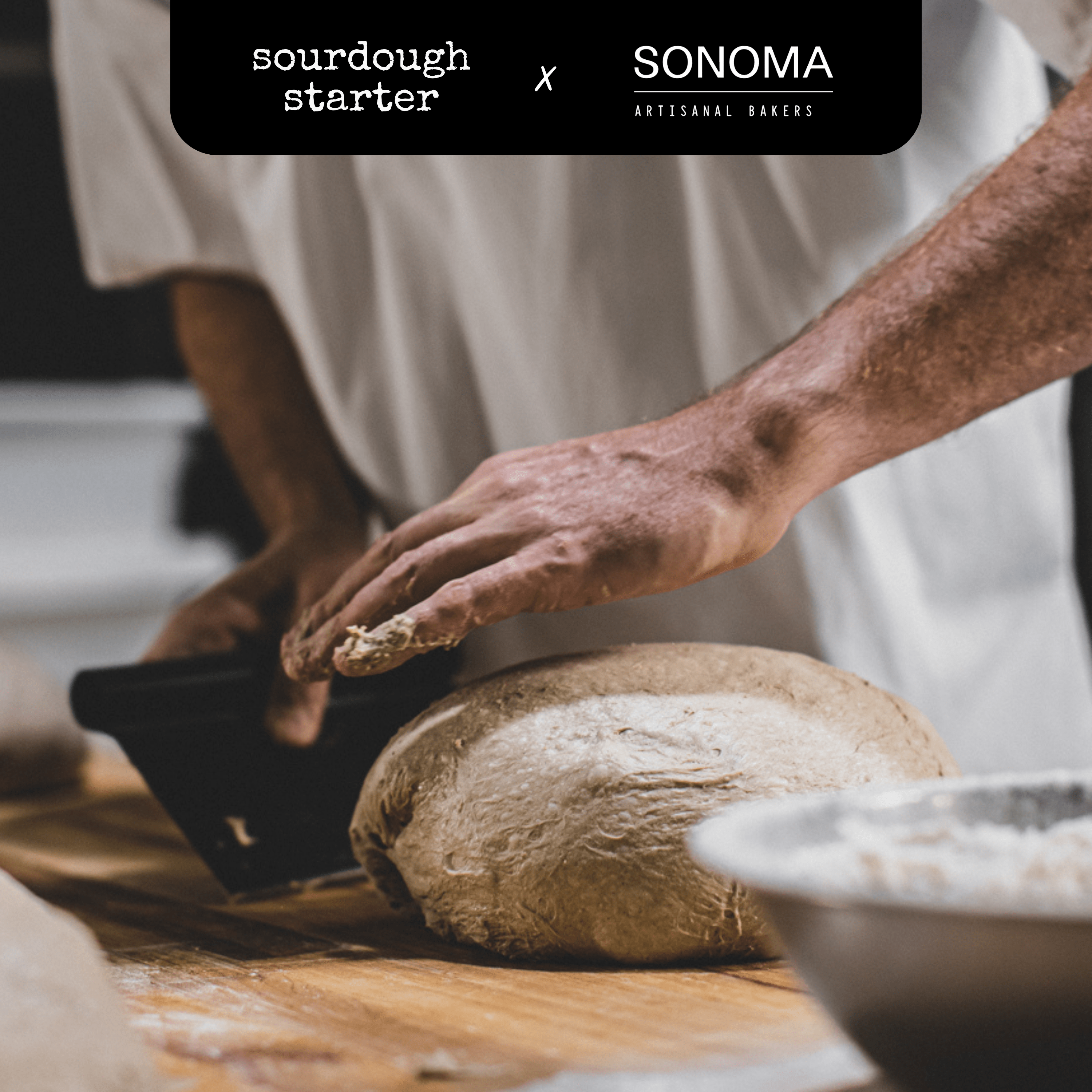 Kalamata Olive Sourdough