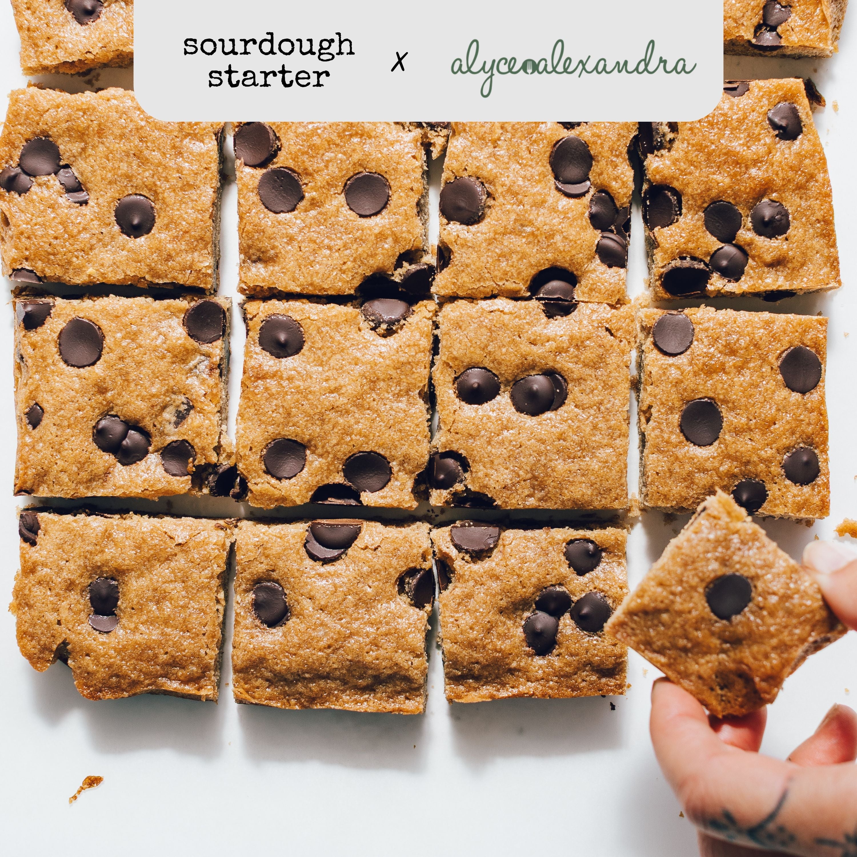Sourdough Choc Chip Blondies